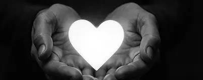 The Silent Powerhouse: Why Heart Health is the Foundation of Your Well-Being